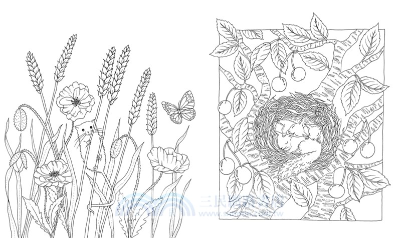Flora Coloring Book