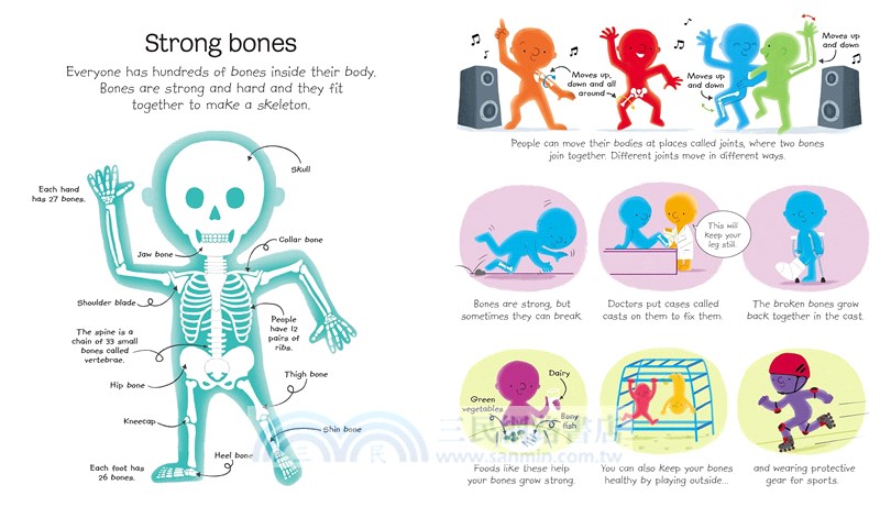 My First Body Book (硬頁書)
