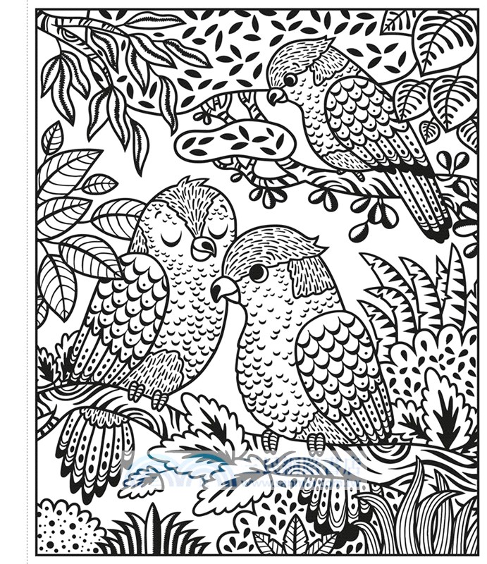 Magic Painting Zoo (水畫冊)