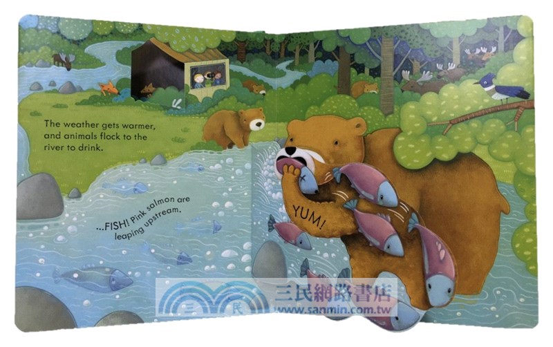 Peep Inside the Forest (硬頁翻翻書)