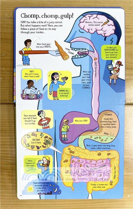 Look Inside What Happens When You Eat (硬頁書)