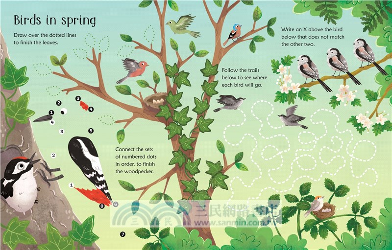 Wipe-Clean Woodland Activities