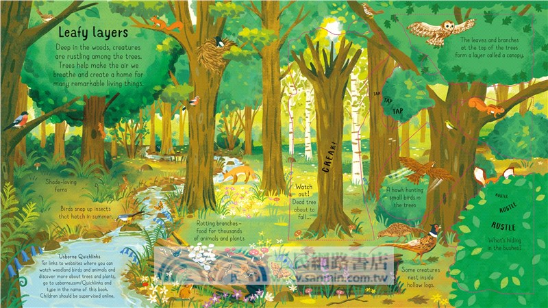Look Inside the Woods (硬頁書)