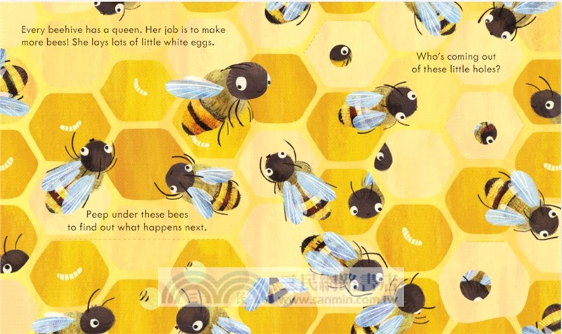 Peep Inside a Beehive (硬頁翻翻書)