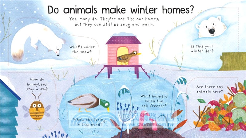 Where Do Animals Go In Winter? (硬頁翻翻書)