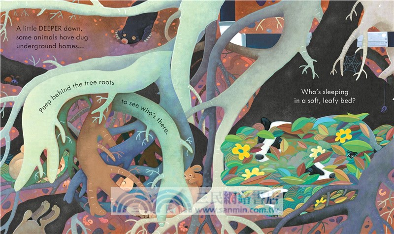 Peep Inside Under the Ground (硬頁翻翻書)