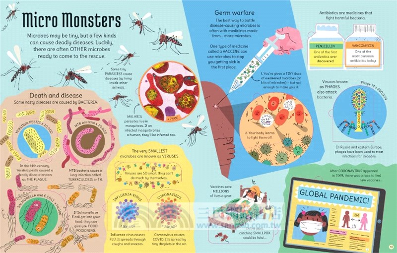 See Inside Microscopic World