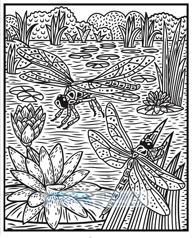 Magic Painting Bugs (水畫冊)