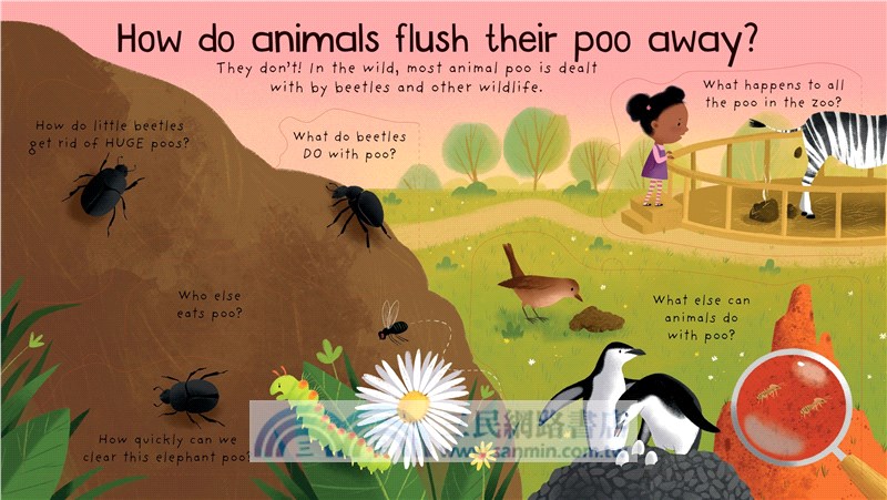 Where Does Poo Go? (硬頁翻翻書)