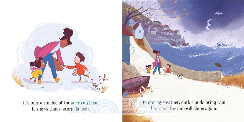 Little Board Books: The Stormy Day