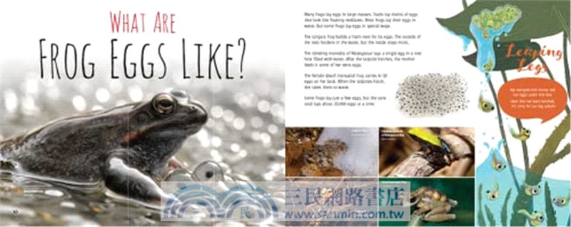 Ribbit! the Truth about Frogs