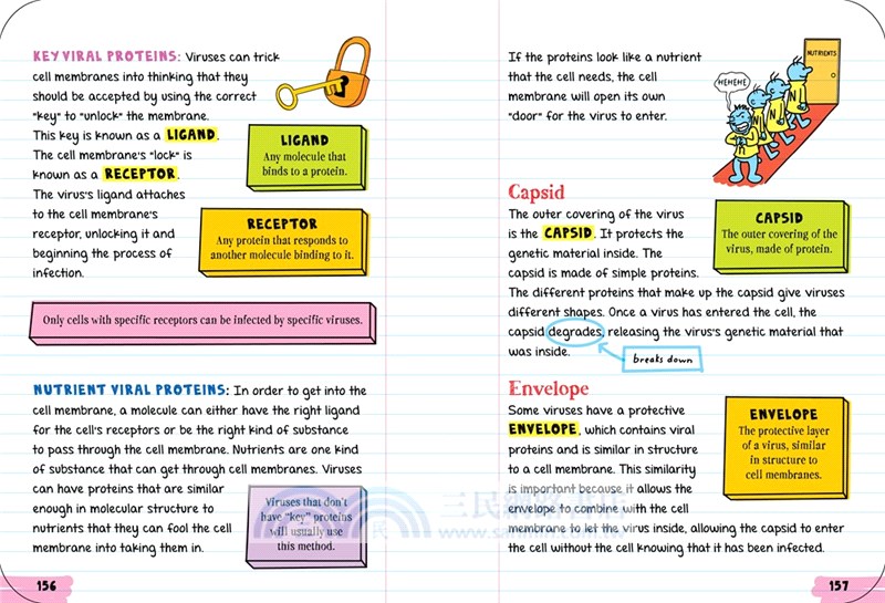 Everything You Need to Ace Biology in One Big Fat Notebook