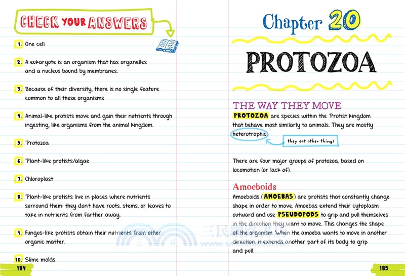Everything You Need to Ace Biology in One Big Fat Notebook