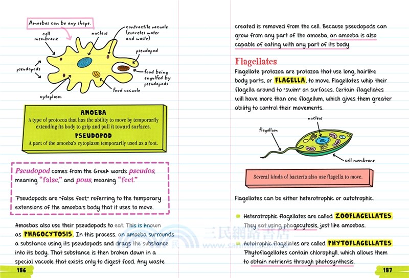 Everything You Need to Ace Biology in One Big Fat Notebook
