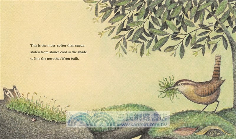 The Nest That Wren Built