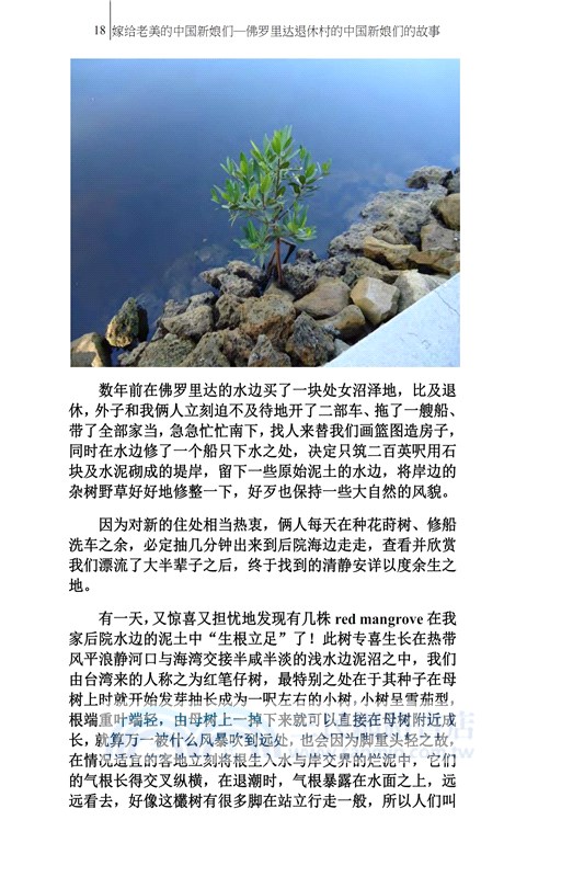 嫁給老美的中國新娘們：佛羅里達退休村的中國新娘們的故事（簡體中文版）