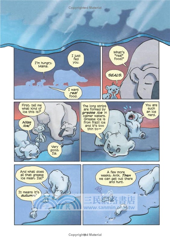 Polar Bears: Survival on the Ice (Science Comics)