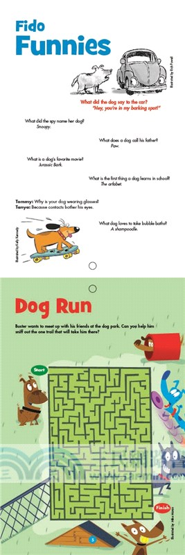 Puzzlemania Maze Craze