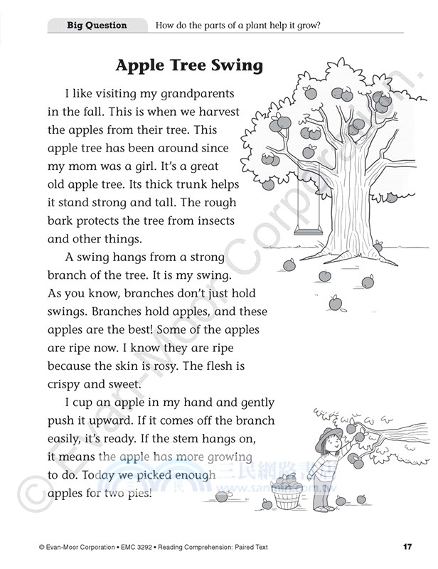 Reading Comprehension: Paired Text, Grade 2 Teacher Resource