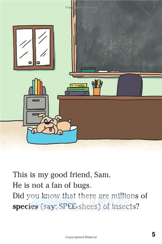 Super Gross Collection (Boxed Set): Icky, Sticky Slime!; Going Buggy!; What's That Smell?; What's in Your Body?; Into the Deep!; Night Creatures!