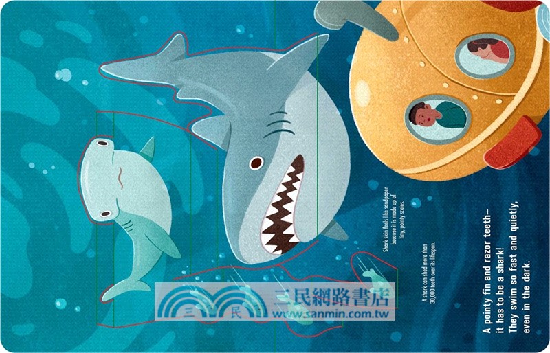 Into the Deep Blue Sea: An Ocean Pop-Up