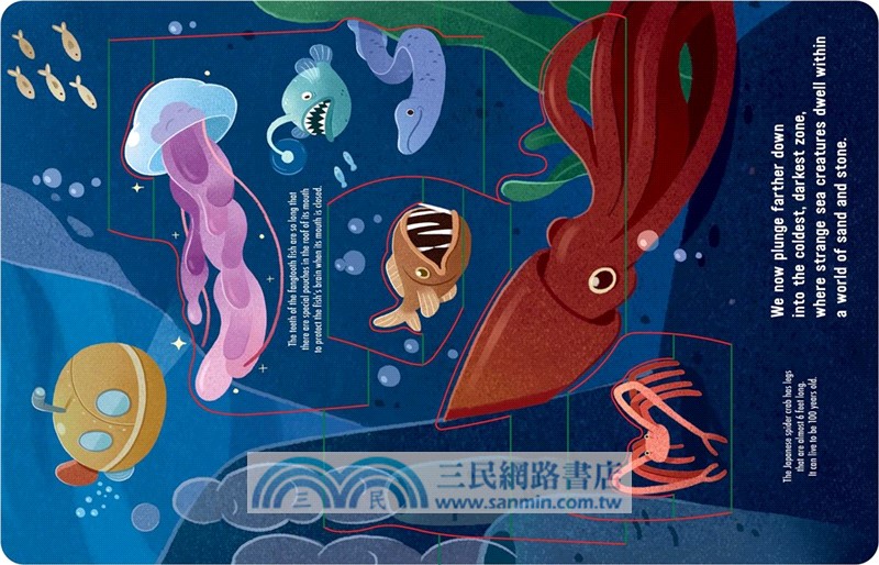 Into the Deep Blue Sea: An Ocean Pop-Up
