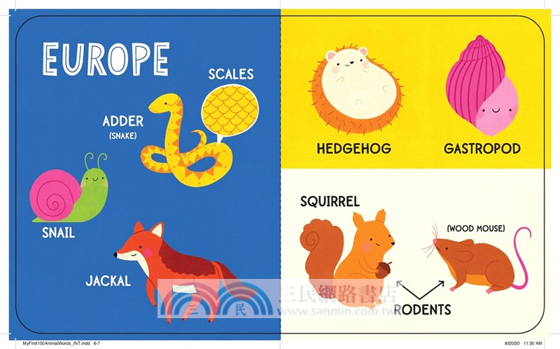 My First 100 Animal Words (硬頁書)