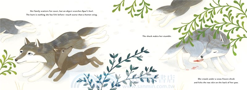Spur, a Wolf's Story