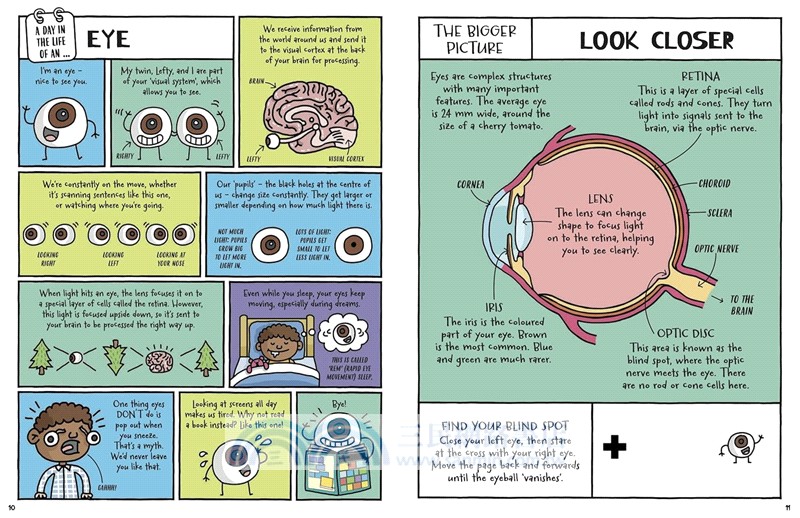 A Day in the Life of a Poo, a Gnu and You (Winner of the Blue Peter Book Award 2021)