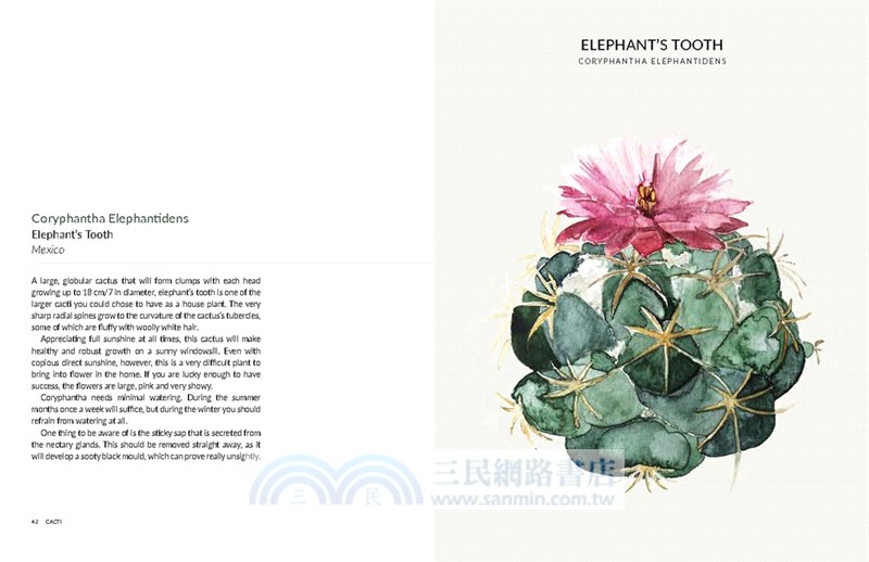 Urban Botanics ─ An Indoor Plant Guide for Modern Gardeners