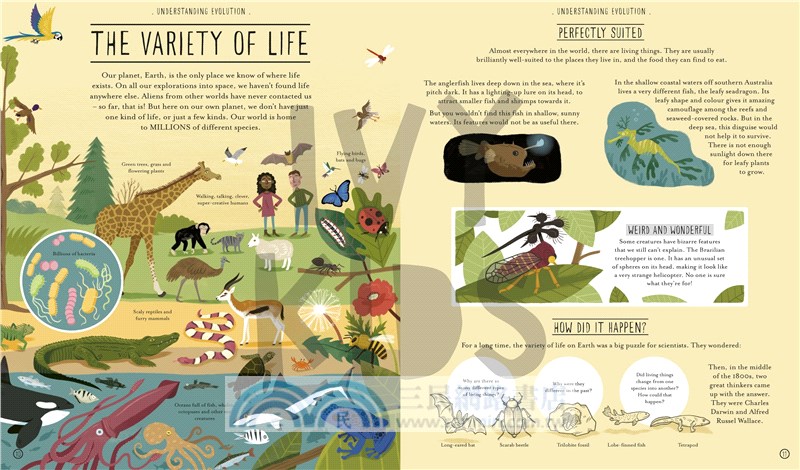 Amazing Evolution: The Journey of Life