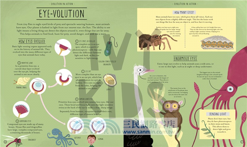 Amazing Evolution: The Journey of Life