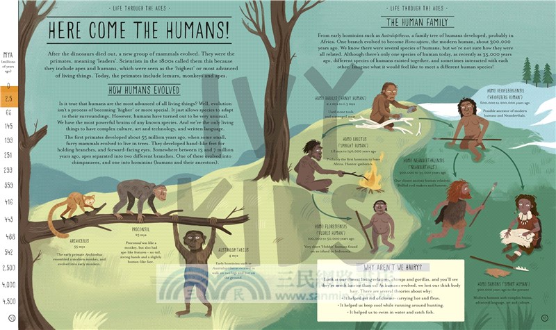 Amazing Evolution: The Journey of Life