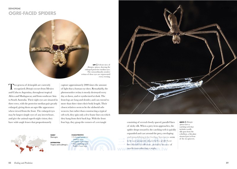 Spiders of the World: A Guide to Every Family