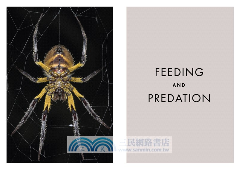 Spiders of the World: A Guide to Every Family