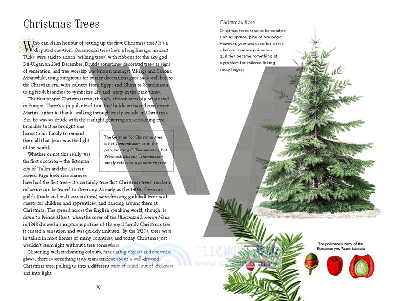 The Christmas Book ― A Short History from Solstice to Santa