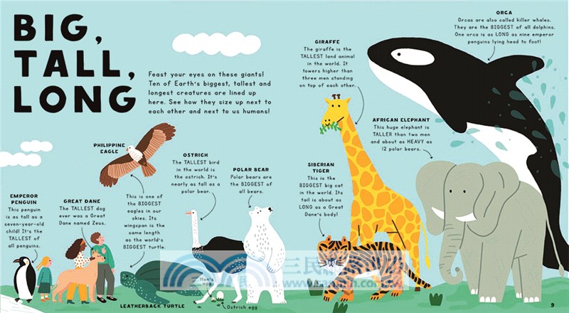 My First Book of Comparisons