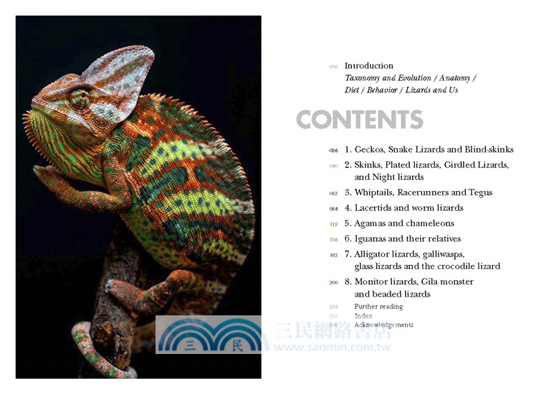 Lizards of the World