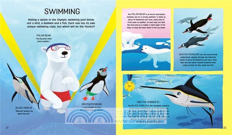 Animal Olympics