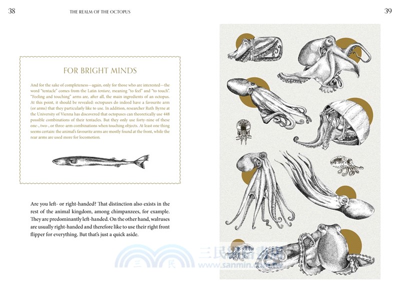 Amazing Octopus：Creature From an Unknown World (2025 Carnegie Medal for Illustration Nominated)