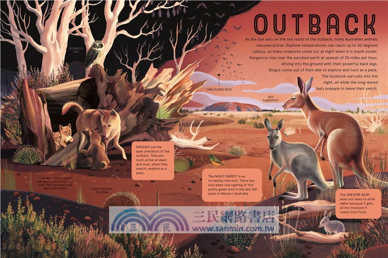 Glow in the Dark: Animals at Night