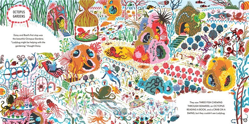 Look for Ladybug in Ocean City