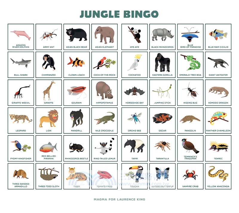 Jungle Bingo (Bingo for Kids!)