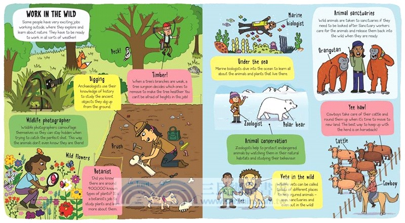 Little Explorers: When I Grow Up