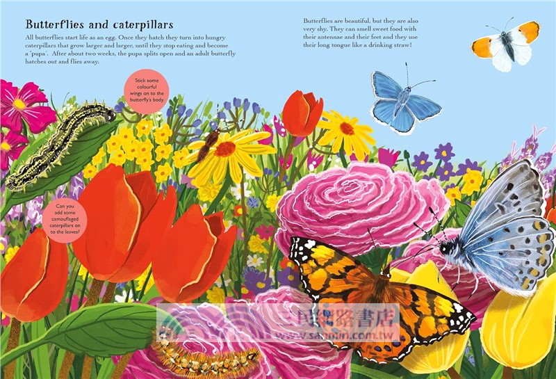 National Trust: Beetles, Butterflies and other Minibeasts