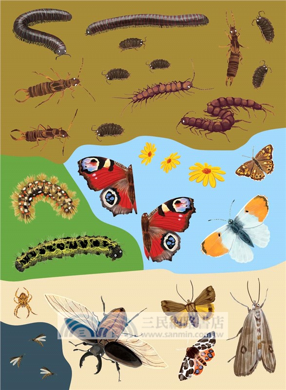 National Trust: Beetles, Butterflies and other Minibeasts
