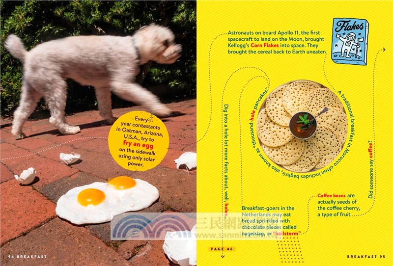 FACTopia!：Follow the Trail of 400 Facts (Factopia! 1)(英國版)(平裝本)