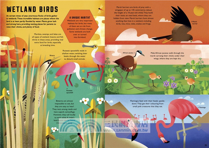 Wild Your World: Birds