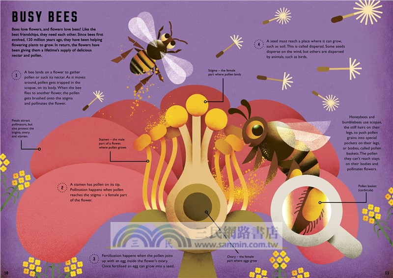 Wild Your World: Bees