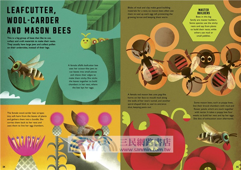 Wild Your World: Bees